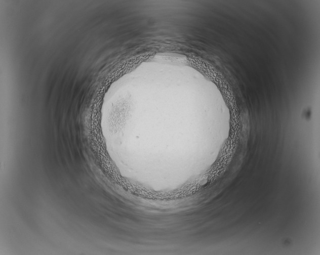 X0000115080034200912081221