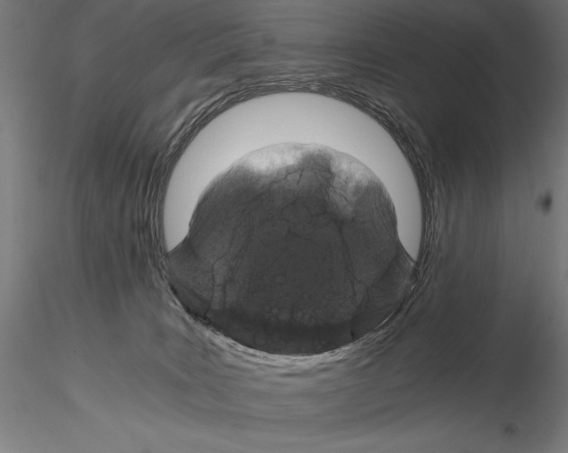 X0000115080035200912081221