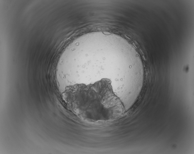 X0000115080036200912081221