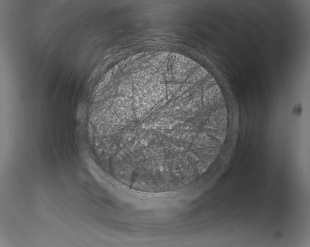 X0000115080038200912081221