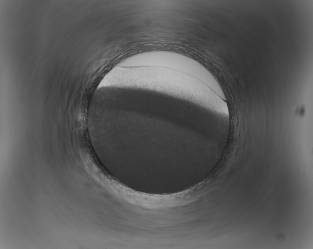 X0000115080039200912081221