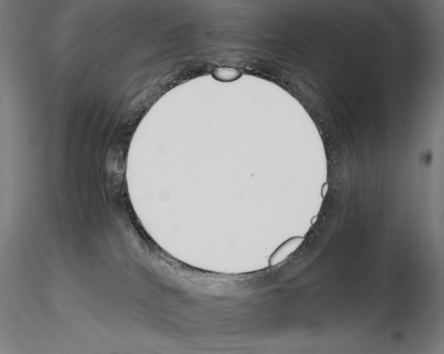 X0000115080040200912081221