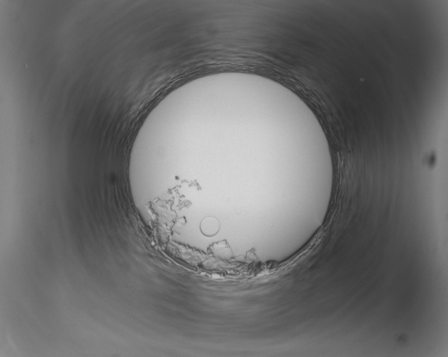 X0000115080041200912081221