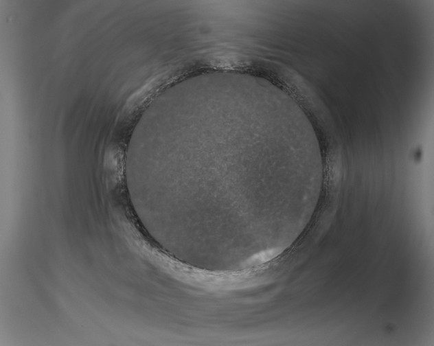 X0000115080043200912081221