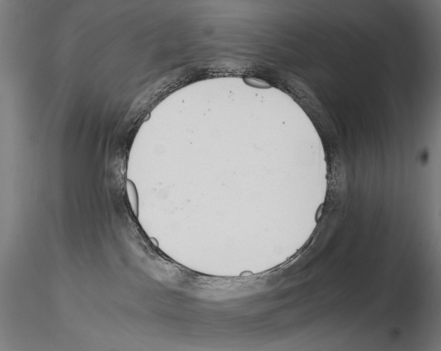 X0000115080045200912081221