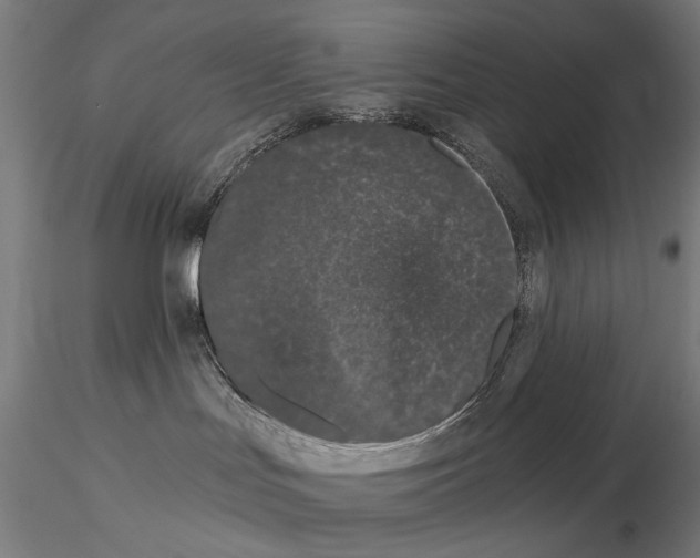 X0000115080047200912081221