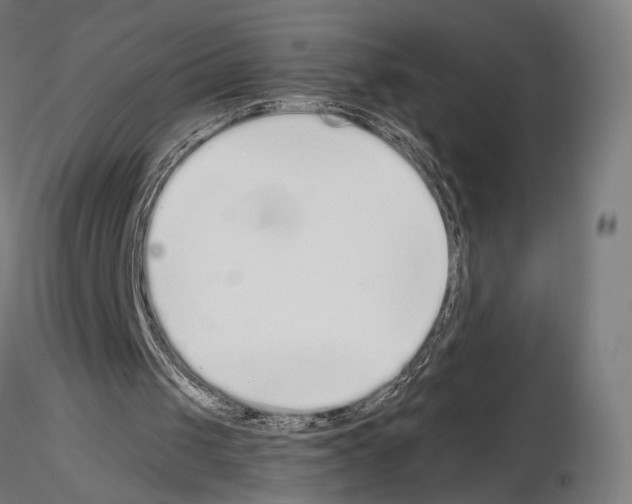 X0000115080049200912081221