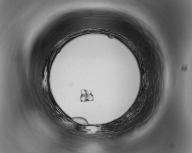 X0000115080050200912081221