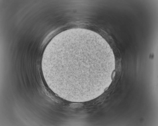 X0000115080051200912081221