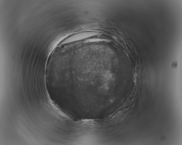 X0000115080052200912081221