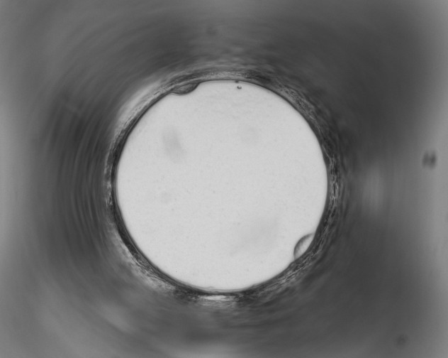 X0000115080053200912081221