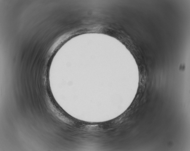 X0000115080054200912081221