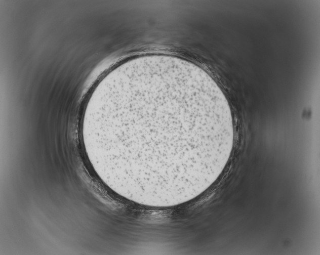 X0000115080056200912081221