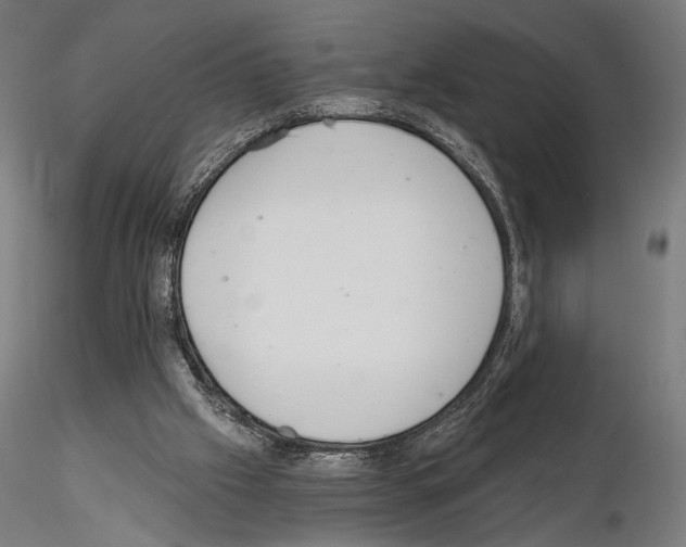 X0000115080057200912081221