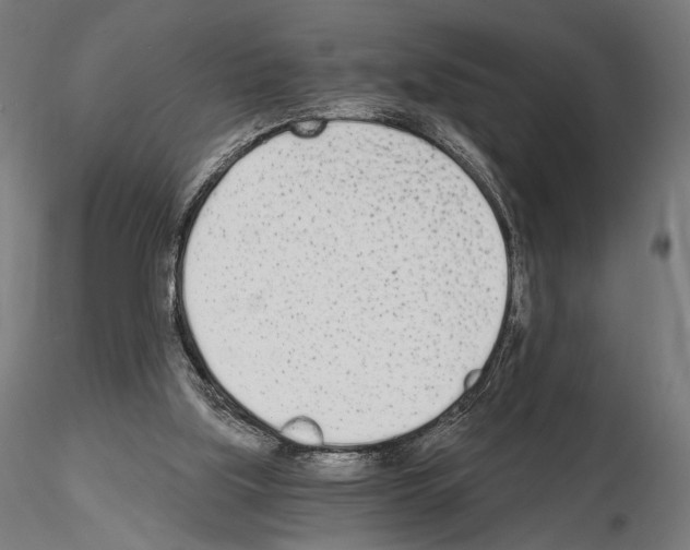 X0000115080059200912081221