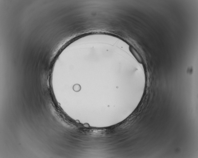 X0000115080060200912081221