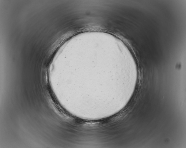 X0000115080061200912081221