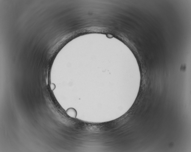 X0000115080062200912081221