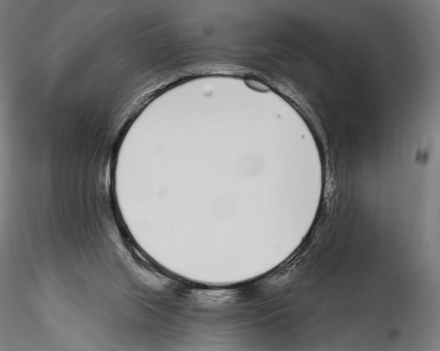 X0000115080063200912081221