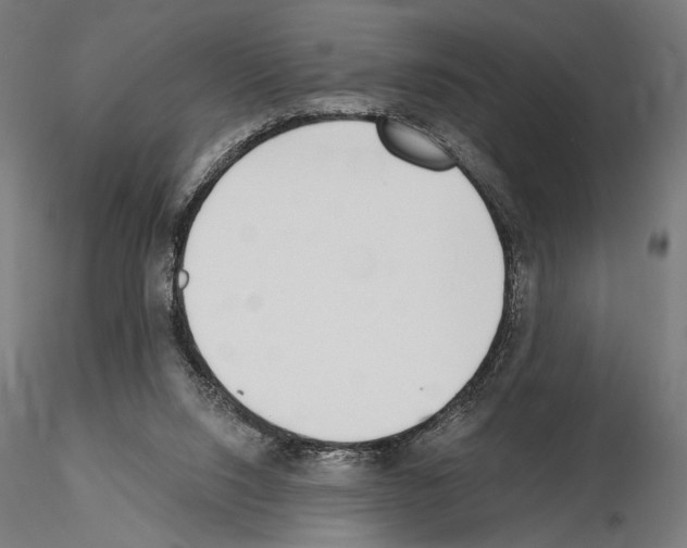 X0000115080064200912081221