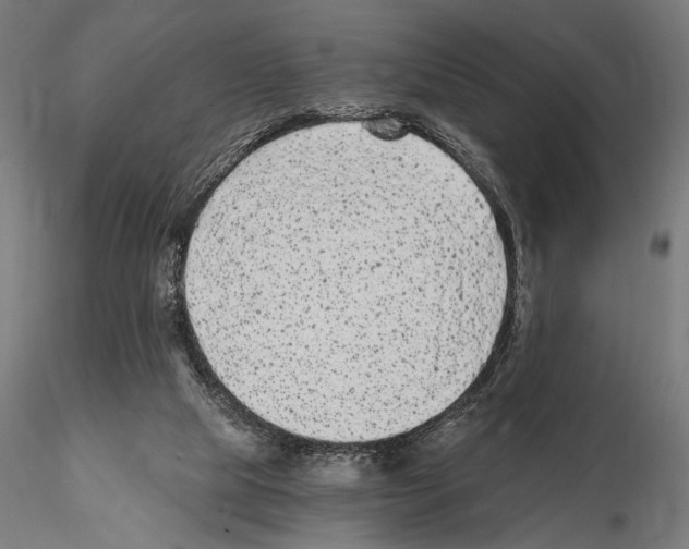 X0000115080065200912081221