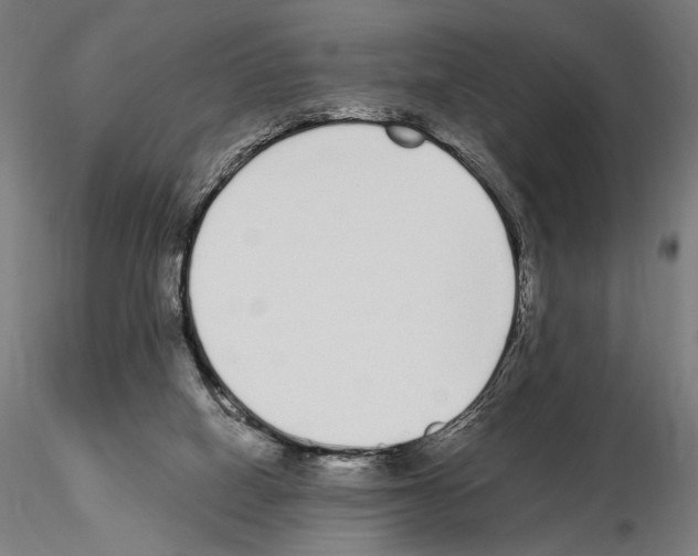 X0000115080066200912081221