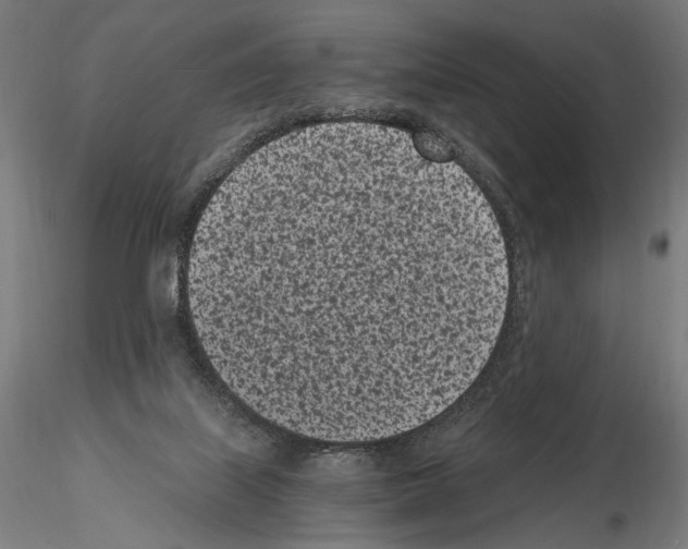 X0000115080067200912081221