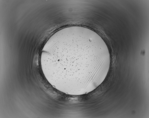 X0000115080068200912081221