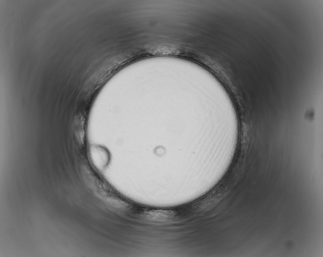 X0000115080069200912081221