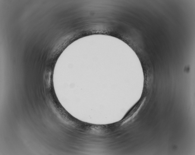 X0000115080070200912081221