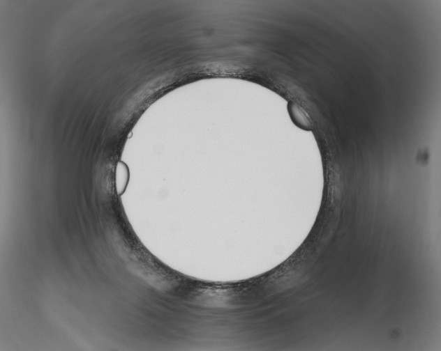 X0000115080071200912081221