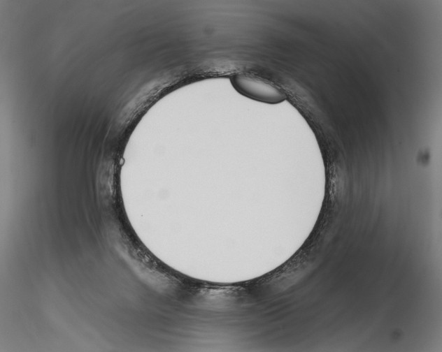 X0000115080072200912081221