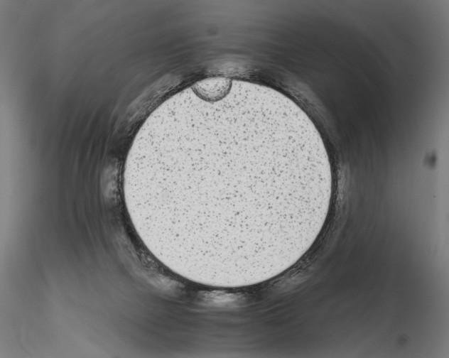 X0000115080073200912081221