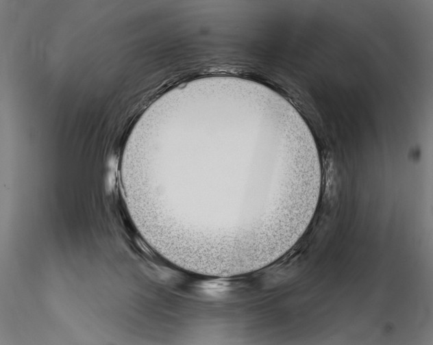 X0000115080075200912081221