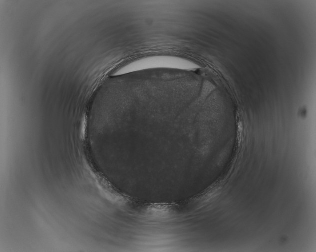 X0000115080076200912081221