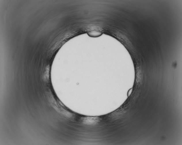 X0000115080077200912081221