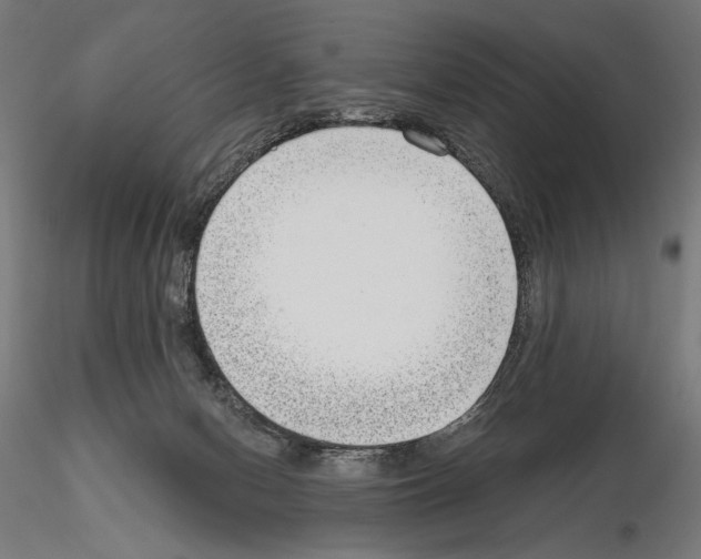 X0000115080078200912081221