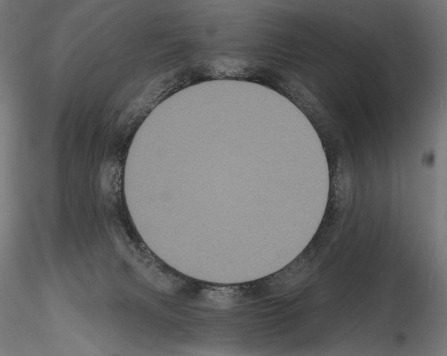 X0000115080079200912081221