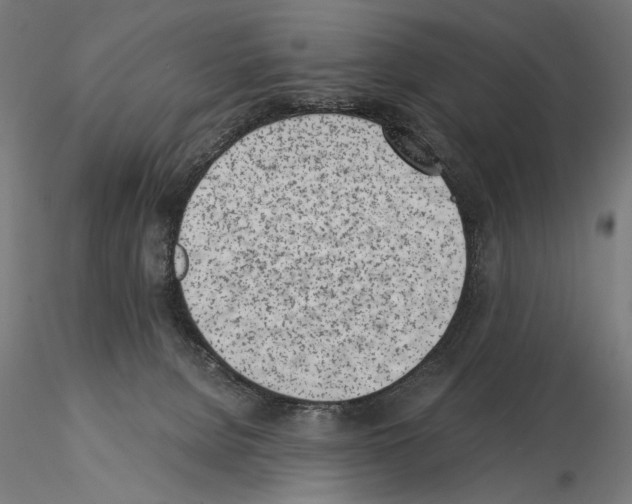 X0000115080080200912081221