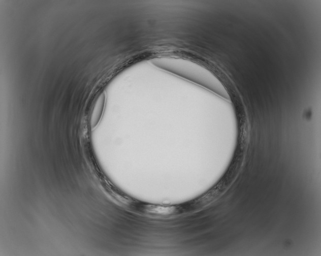 X0000115080081200912081221