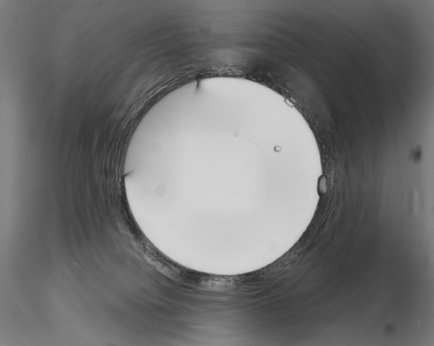 X0000115080084200912081221