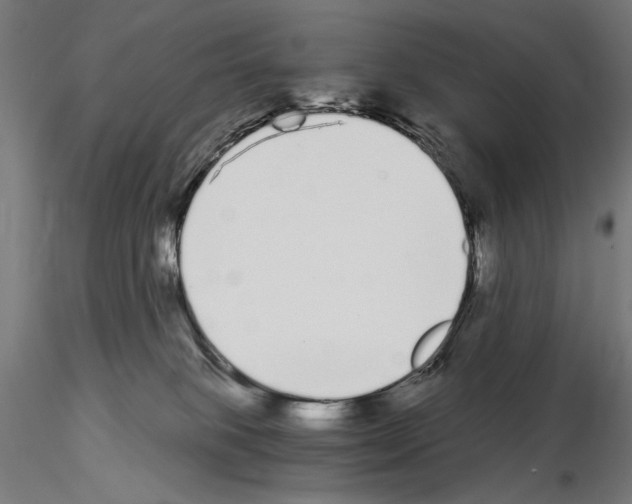 X0000115080085200912081221