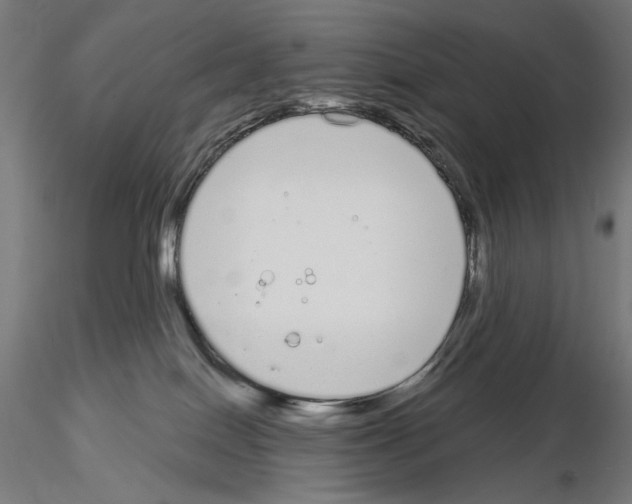 X0000115080086200912081221