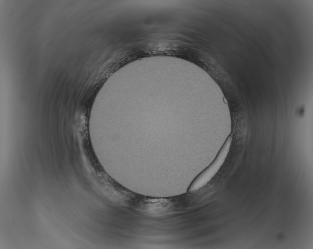 X0000115080087200912081221