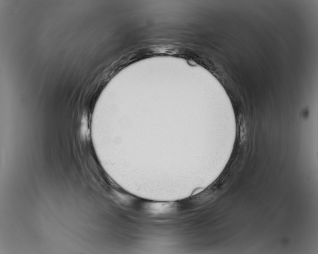 X0000115080089200912081221