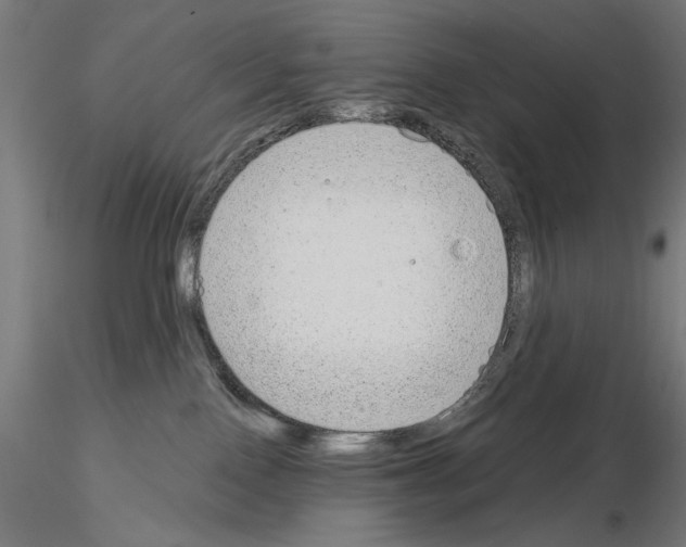 X0000115080090200912081221