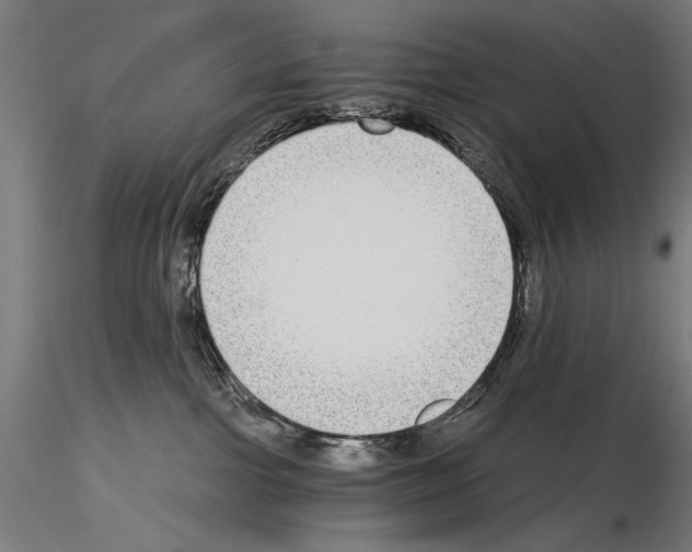 X0000115080091200912081221