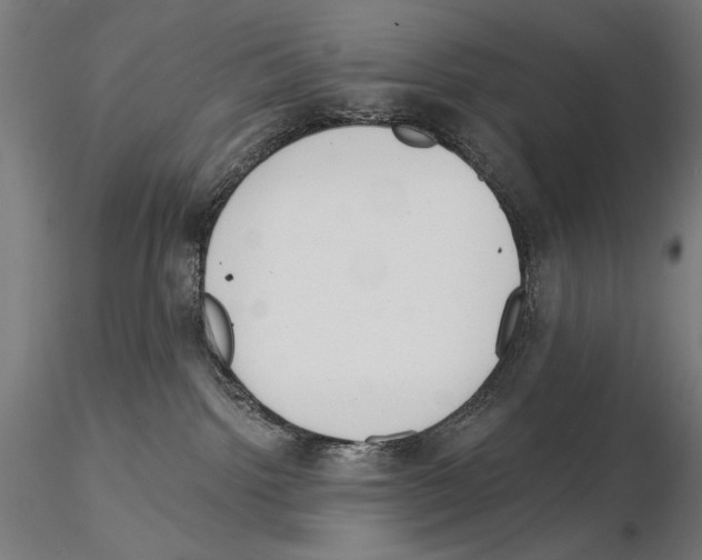 X0000115080092200912081221