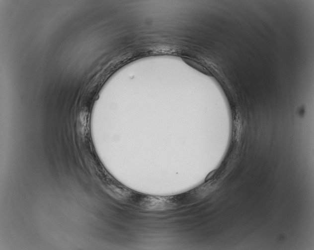 X0000115080093200912081221