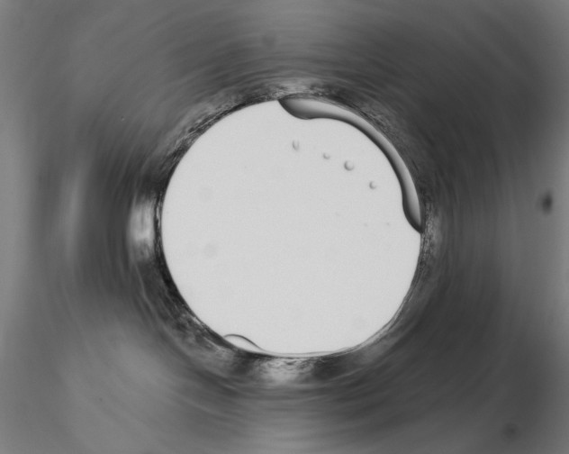 X0000115080094200912081221